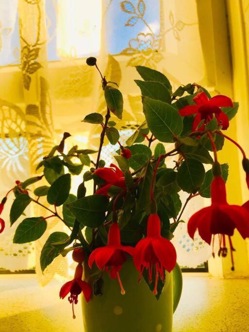 Carpe Diem Rooms Flat Near Zone 1 لندن المظهر الخارجي الصورة