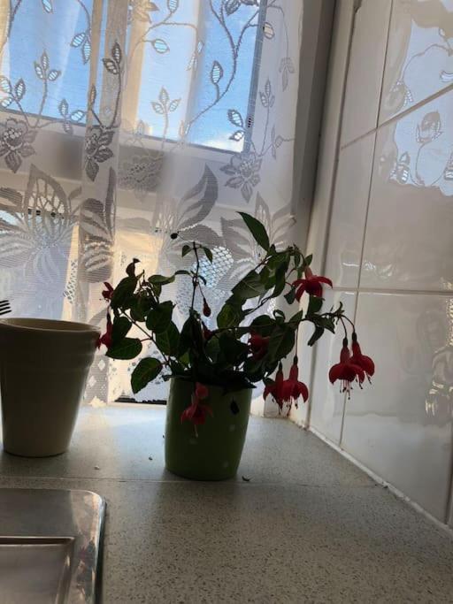 Carpe Diem Rooms Flat Near Zone 1 لندن المظهر الخارجي الصورة